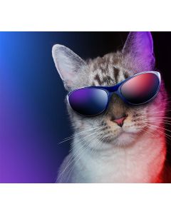 Alona test image configurable